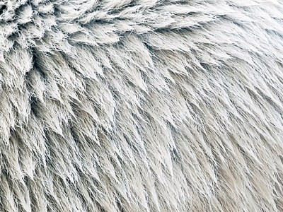 #Redaktionsmanagement